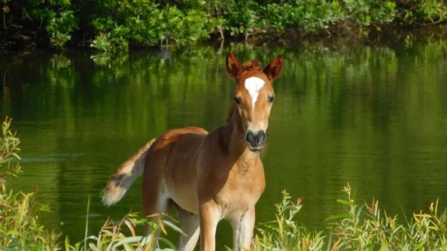 thelandofnews thelandofnews